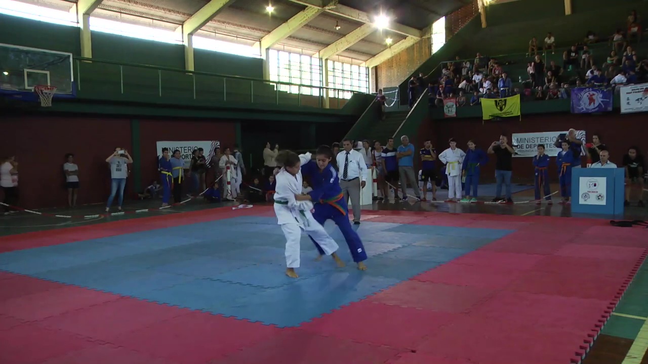 Judo: se disputó la copa internacional de la tierra colorada
