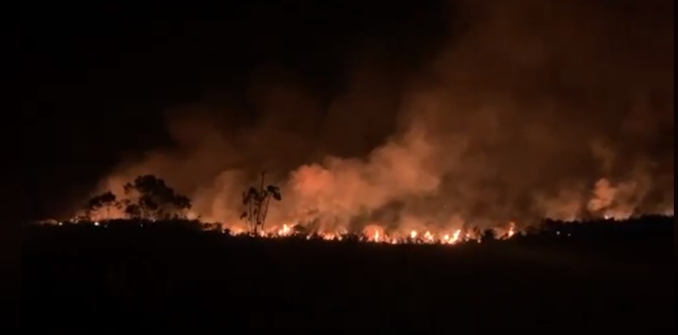 Puerto Rico: un incendio consumió 15 hectáreas en la reserva natural Monte Seguín