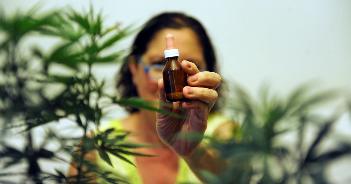 El Gobierno nacional autorizó el cultivo de cannabis medicinal en Misiones