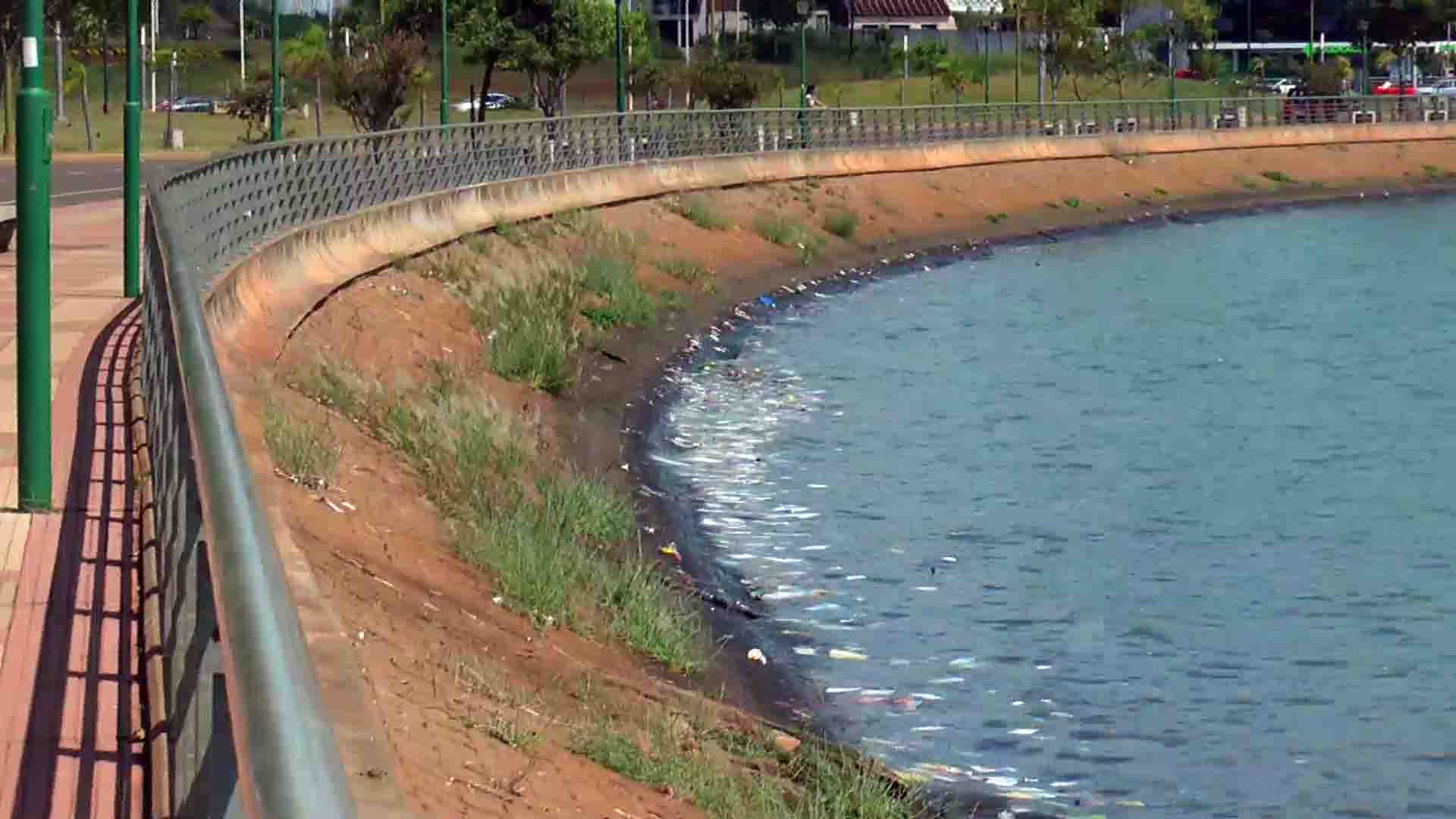 Costanera de Posadas: acumulación de basura en el río Paraná