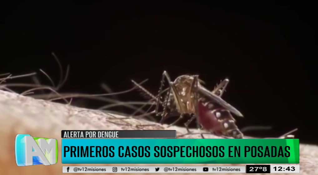 Alerta por dengue: primeros casos sospechosos en Posadas