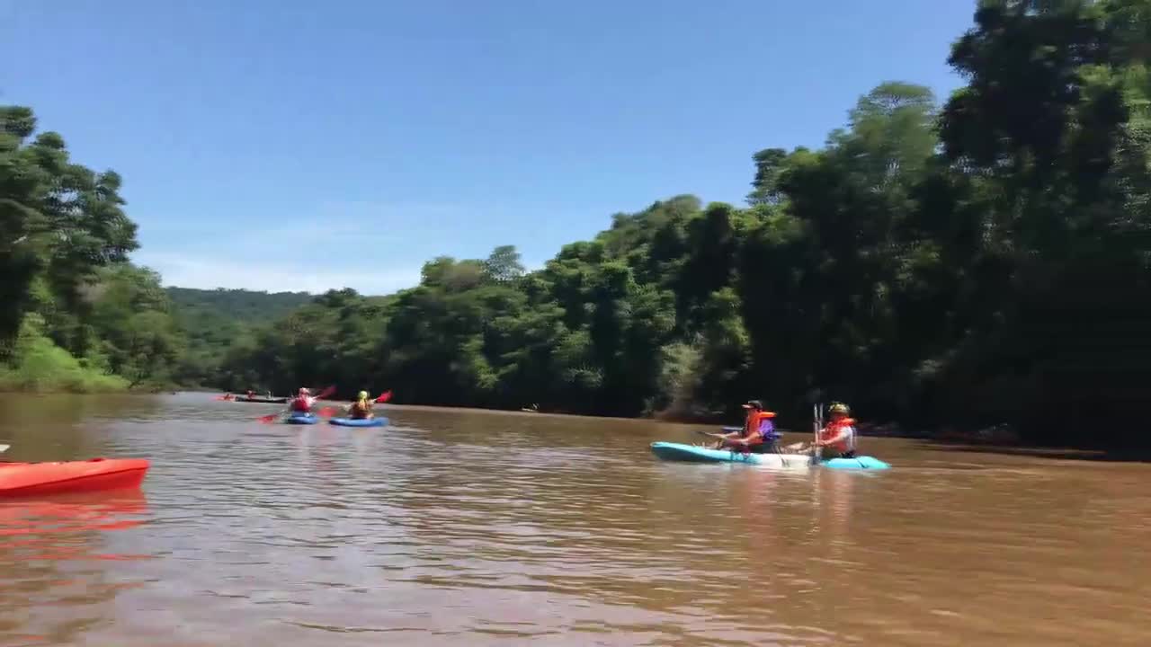Deporte y naturaleza: grupo de kayakistas remó 13 km en aguas rápidas y pequeñas cascadas