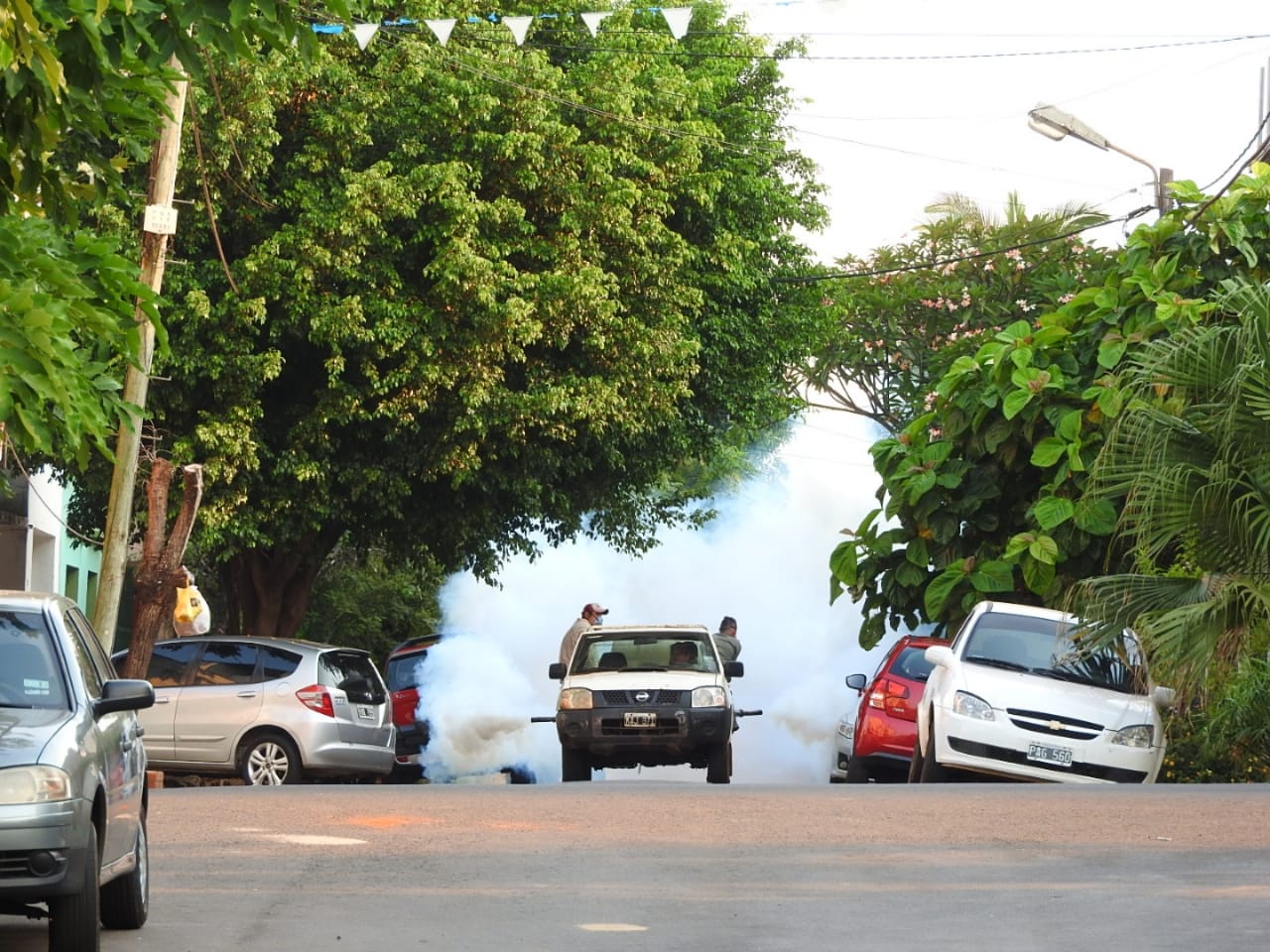 El Municipio continúa con las tareas diarias para erradicar el Dengue
