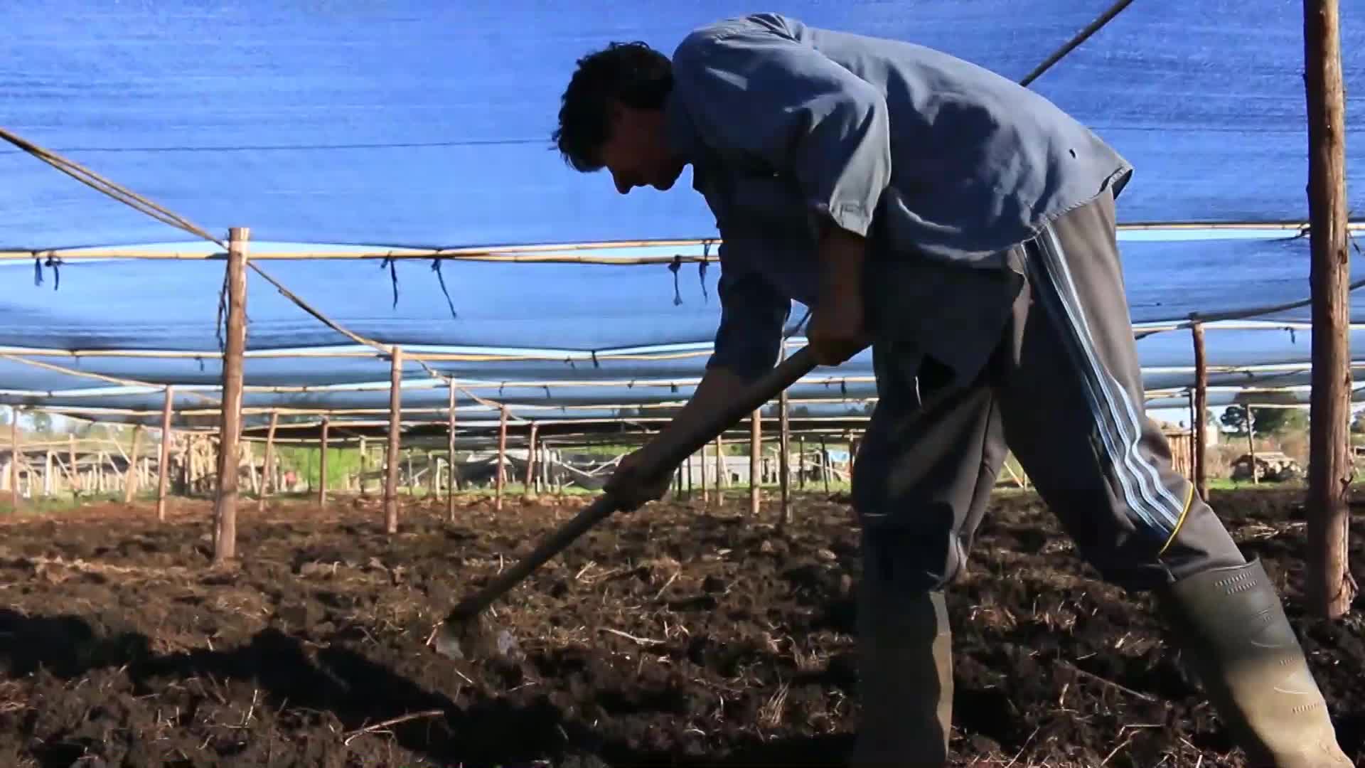 Nación dejó sin financiamiento programas agrarios