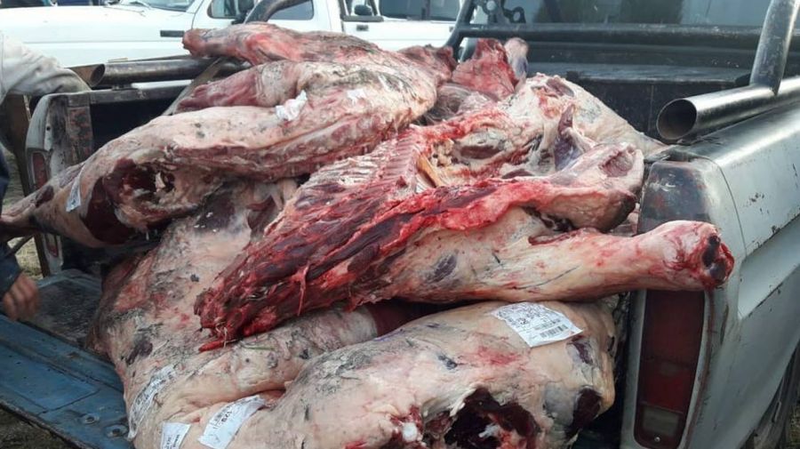 Fotos: volcó un camión y los vecinos se llevaron la carne
