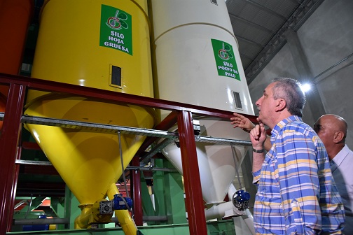 Andresito: se inauguró secadero de Yerba Mate que exportará al mercado asiático