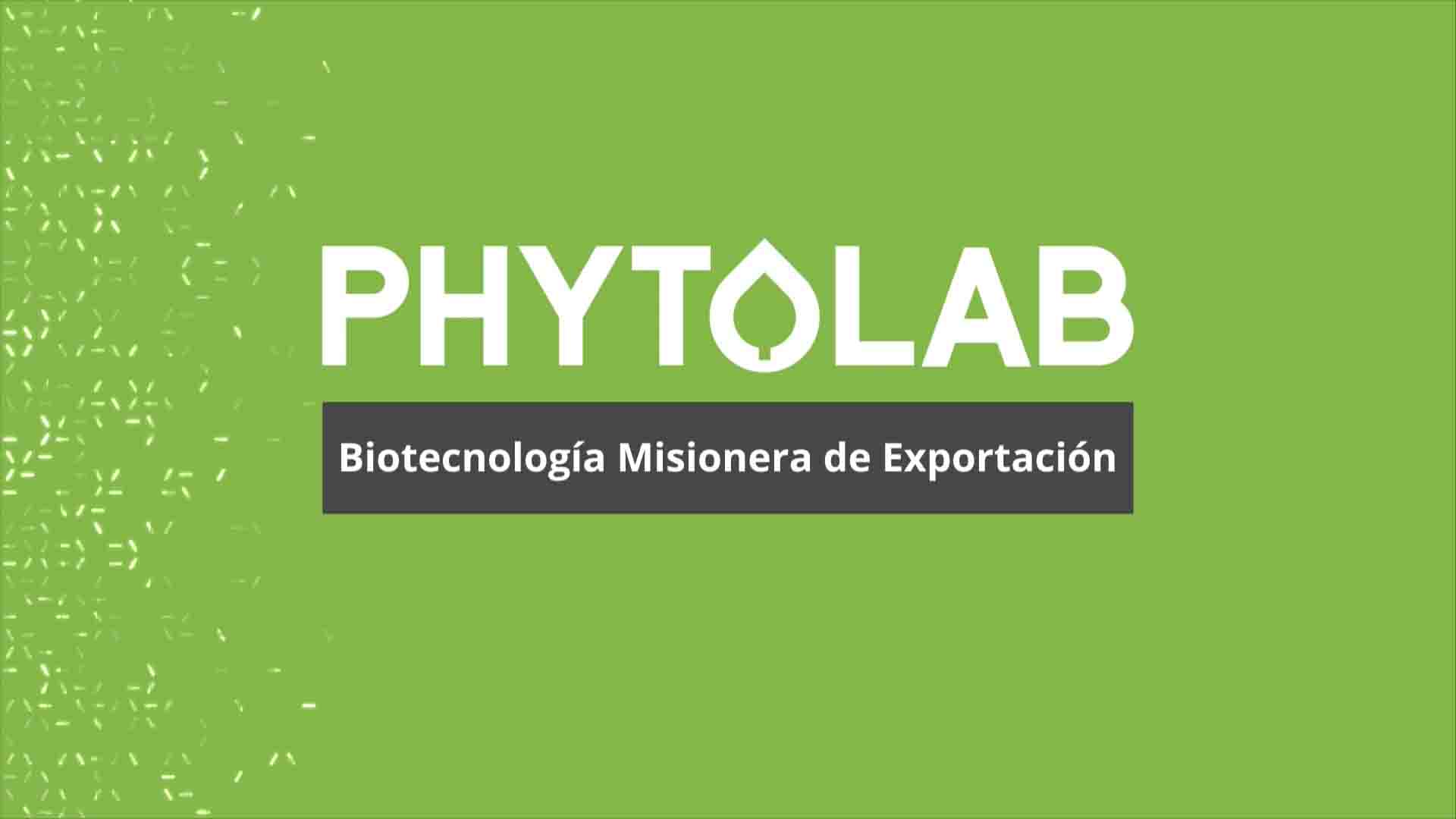 PHYTOLAB: biotecnología de exportación desarrollada en Misiones