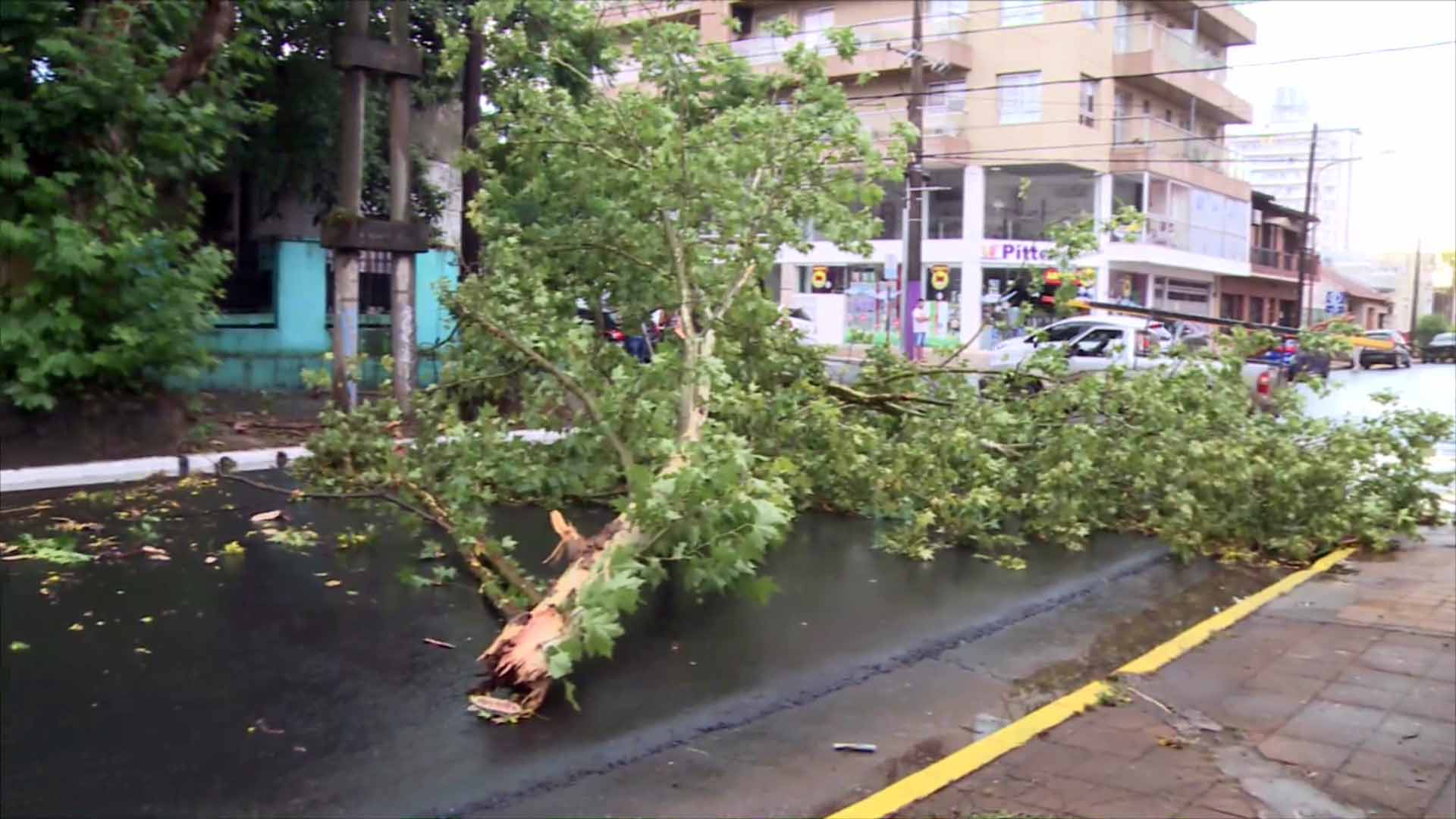 Fuerte temporal en Posadas: no descartan nuevos fenómenos intensos en los próximos días