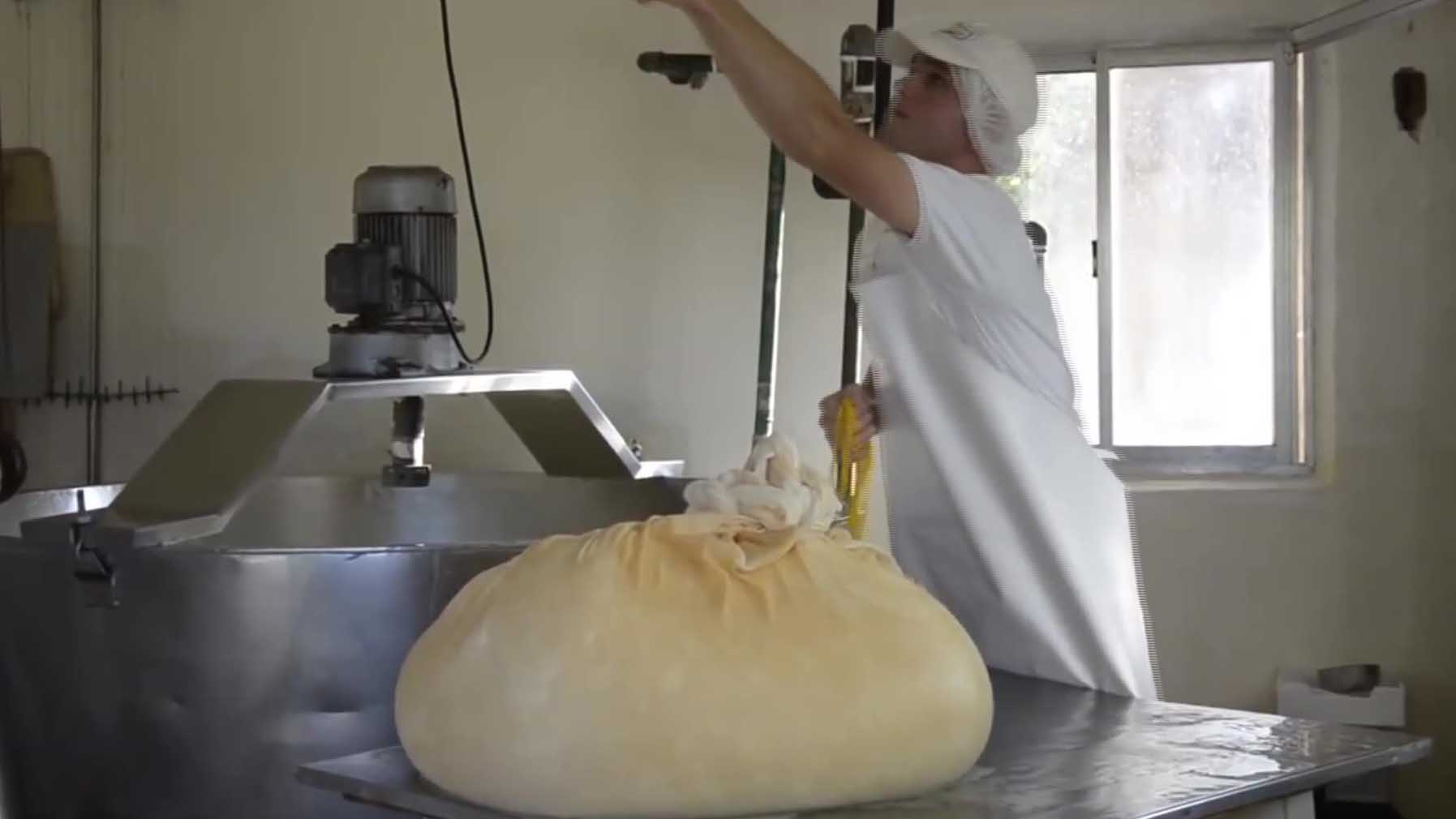 Alto Uruguay: cooperativa incorporó equipos para producir más quesos