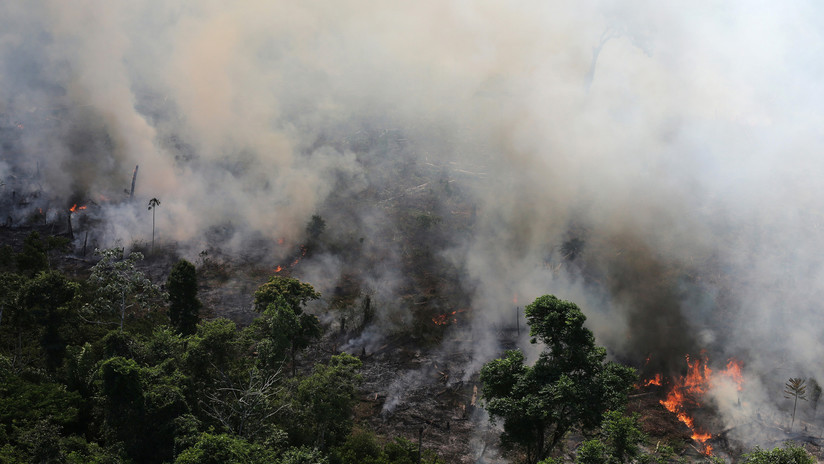FOTOS: La NASA publica imágenes satelitales que muestran cómo arde la Amazonía en Brasil