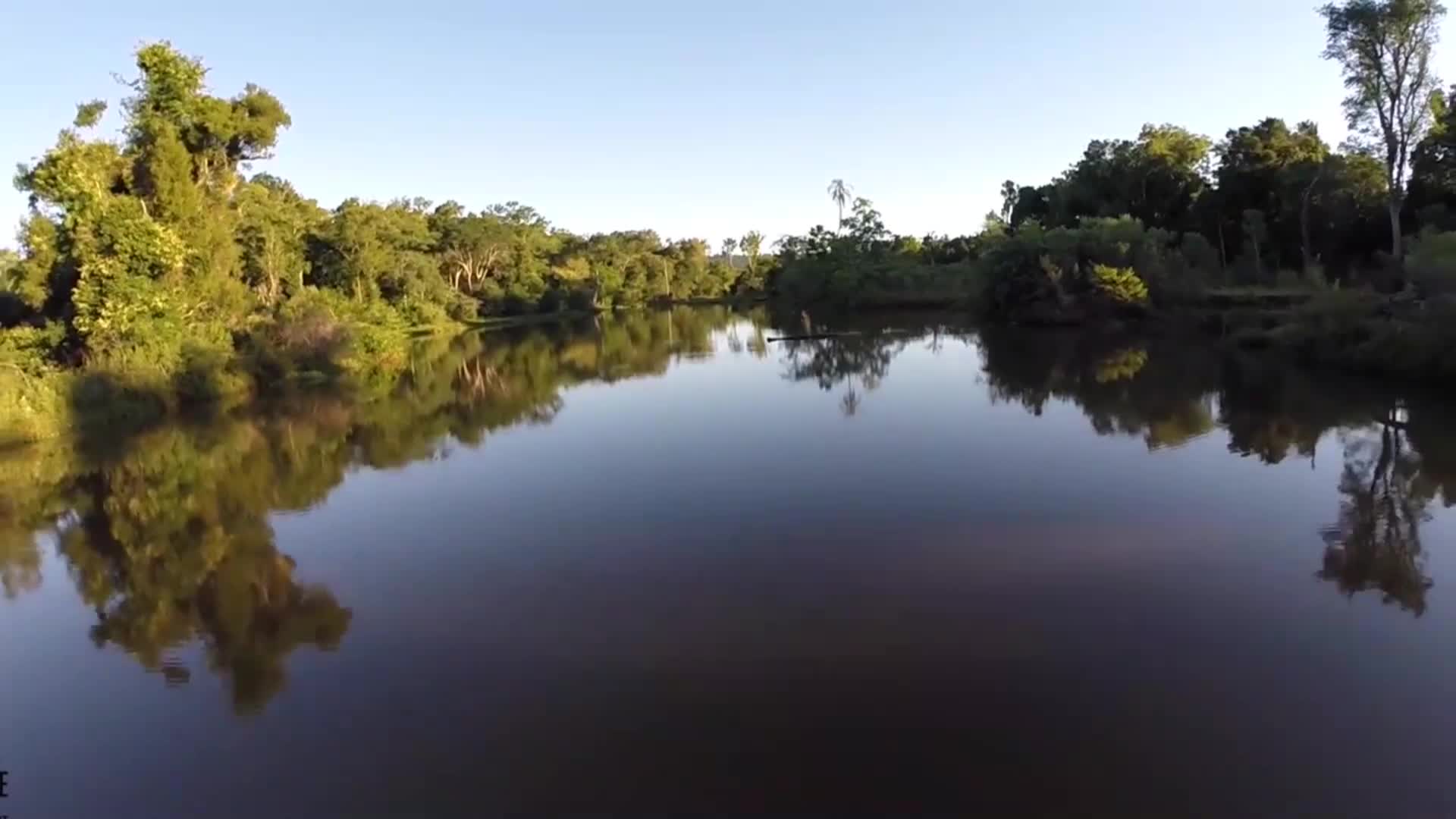 Andresito: ruta ecoturística “Aves del Iguazú “
