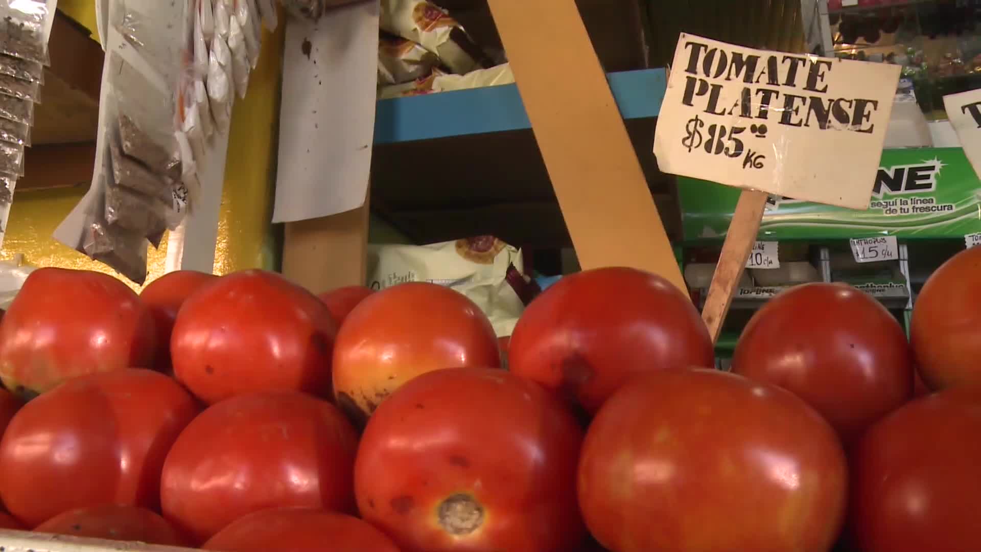 Economia familiar: el precio del tomate, por las nubes: el kilo se consigue a $80
