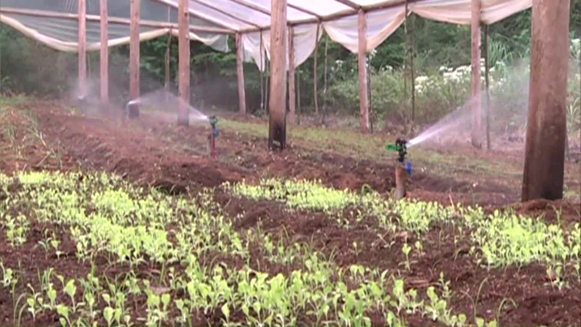 Agro y producción: fortalecer el arraigo rural
