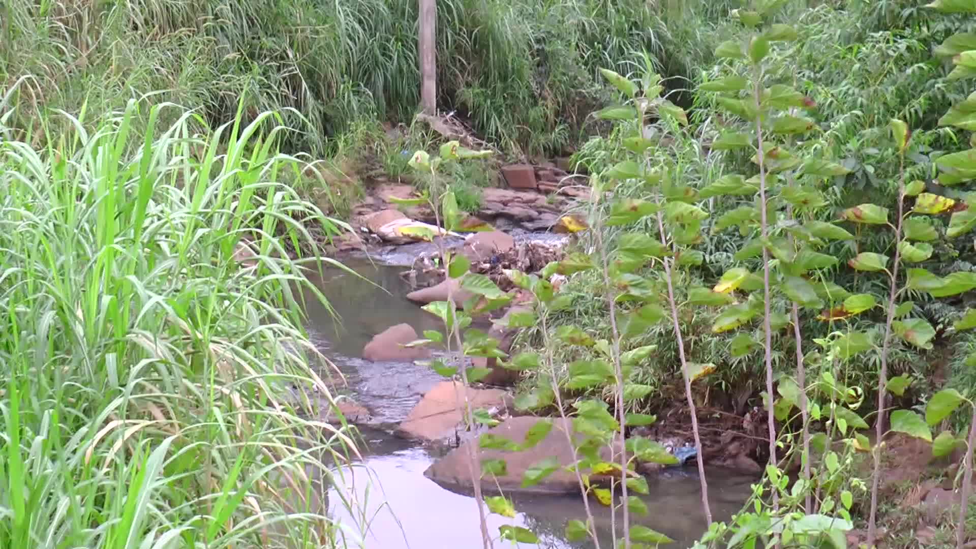 La Municipalidad de Posadas gestiona ante Nación el saneamiento del arroyo itá