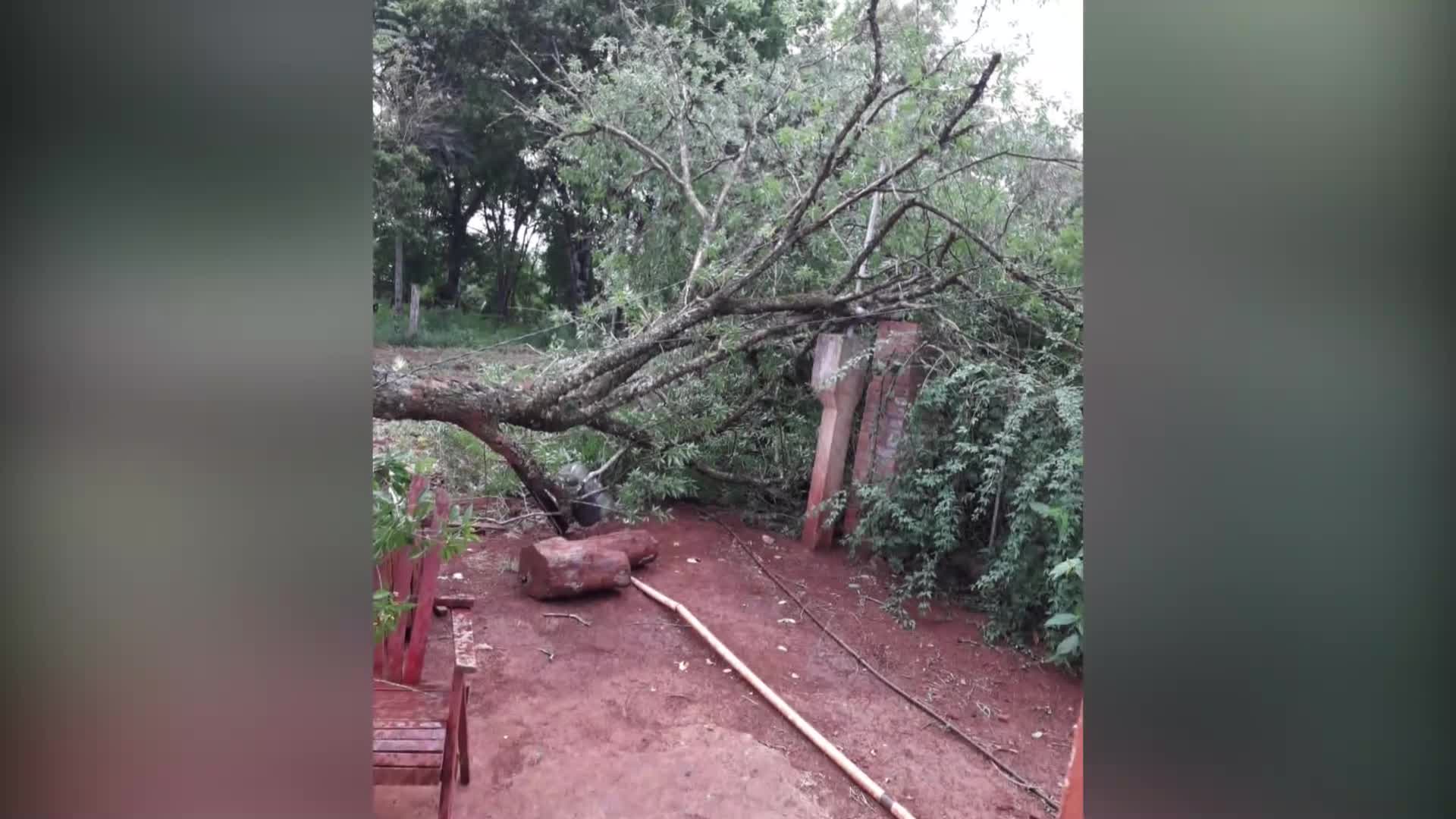 Asisten a los afectados: el temporal afectó más de 130 viviendas en Misiones