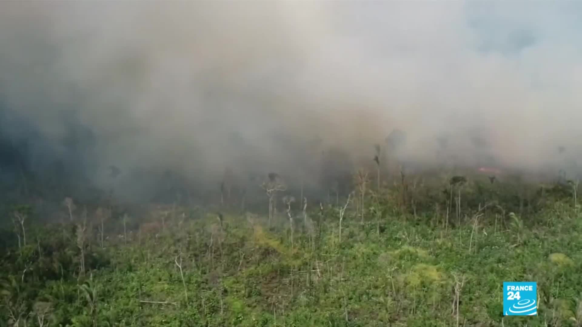 Incendios en el amazonas: el desastre ambiental del siglo 21