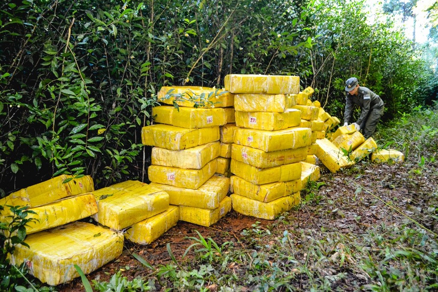 Puerto Leoni: secuestran 1.750 kilos “cannabis sativa” en la costa del río Paraná