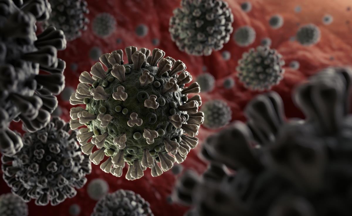Coronavirus: continúan los dos casos positivos en Misiones 