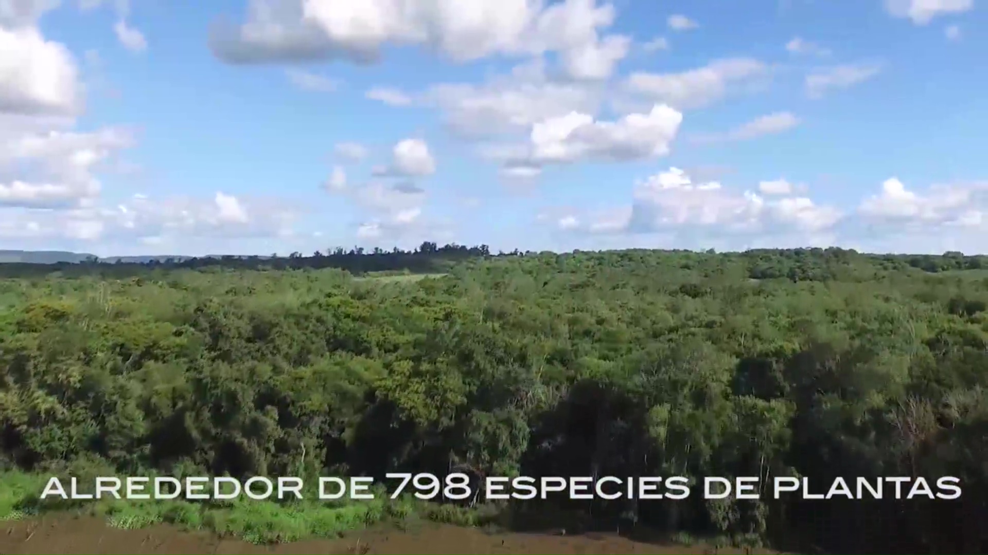Yacyretá presentó la reserva natural Urutaú